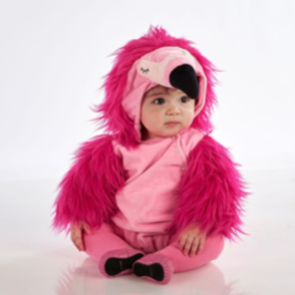 Flamingo Baby Costume, 6-12M Halloween barely used